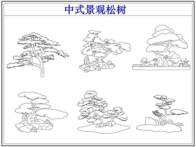 乔木种植 罗汉松迎客松 中式景观松树