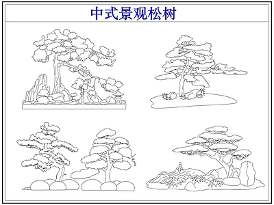 乔木种植 中式景观松树 罗汉松迎客松