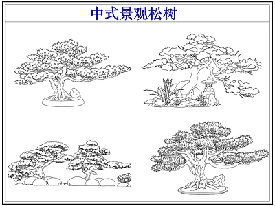 乔木种植 中式景观松树 罗汉松迎客松