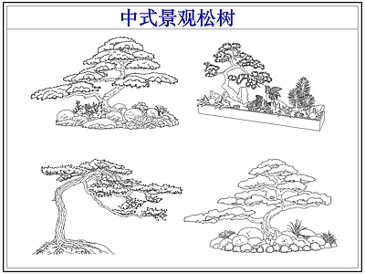 乔木种植 罗汉松迎客松 中式景观松树