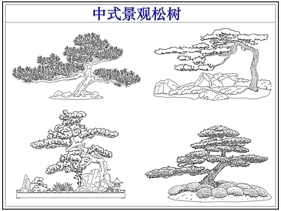 乔木种植 中式景观松树 罗汉松迎客松