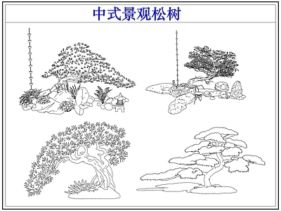 乔木种植 中式景观松树 罗汉松迎客松