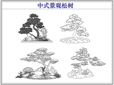 乔木种植 罗汉松迎客松 中式景观松树