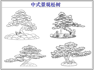 乔木种植 中式景观松树 罗汉松迎客松