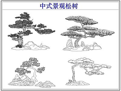 乔木种植 罗汉松迎客松 中式景观松树