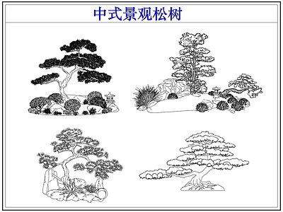 乔木种植 中式景观松树 罗汉松迎客松