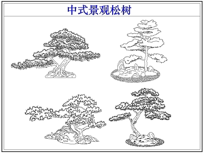 乔木种植 罗汉松迎客松 中式景观松树
