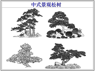 乔木种植 中式景观松树 罗汉松迎客松