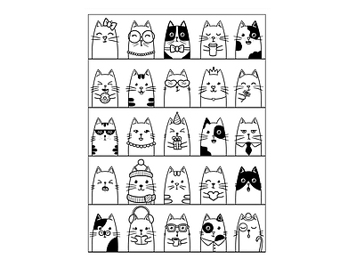 动物 猫咪