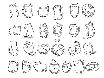动物 猫