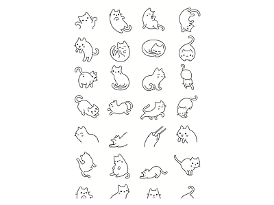 动物 猫