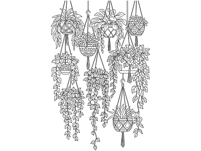 绿植 盆栽 壁花