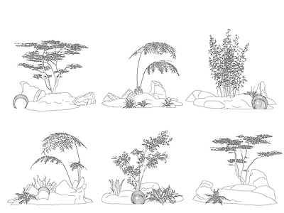综合植物图库 蕨类植物组合
