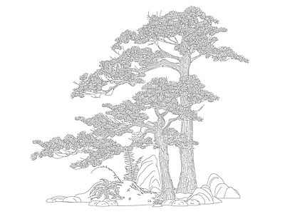 其他景观 松树景观