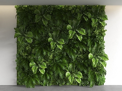 极简绿植墙 植物墙 植物背景墙 植物装饰墙 绿植墙 垂挂植物