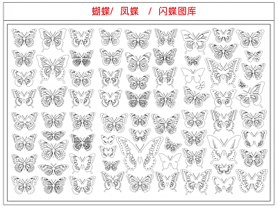 动物 蝴蝶
