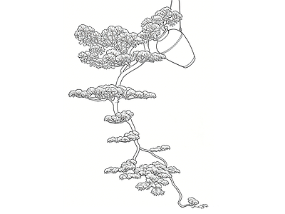 综合植物图库 新中式庭院景观 新中式松树