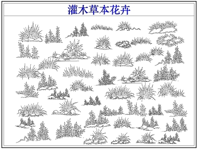 灌木种植 灌木花草本花卉