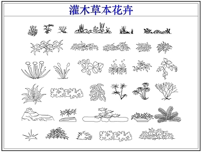 灌木种植 灌木小花草本花卉