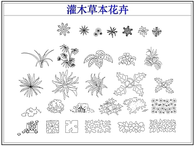 灌木种植 灌木小花草本花卉