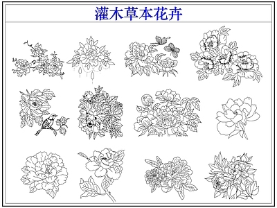 灌木种植 灌木小花草本花卉