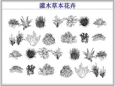 灌木种植 灌木小花草本花卉