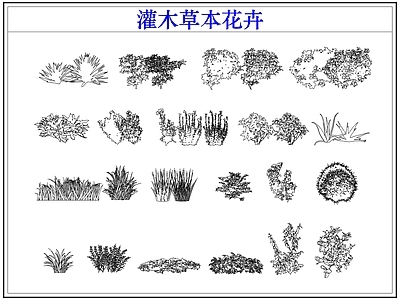灌木种植 灌木小花草本花卉