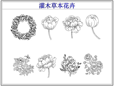 灌木种植 灌木小花草本花卉