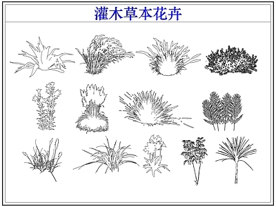 灌木种植 灌木小花草本花卉