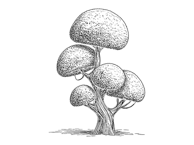 综合植物图库 树 庭院