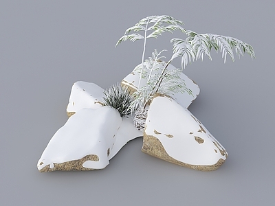 侘寂草本植物 雪景庭院植物 雪景植物 雪景石头 庭院雪景 新中式植物