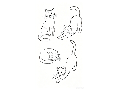 动物 猫 伸懒腰 睡觉