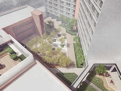 现代主义办公园区景观 校园庭院 屋顶花园 庭院景观 户外书吧 树阵平台