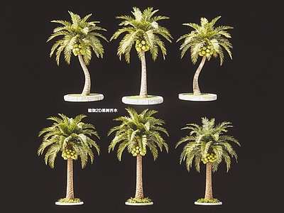 现代简约乔木 现代植物2D椰子 椰子树果树乔木