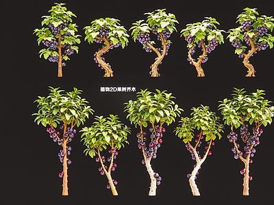 乔木 2D树葡萄乔木 现代植物果树乔木