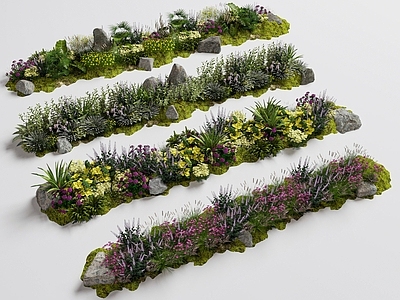 现代主义植物组合 花境 植物组团