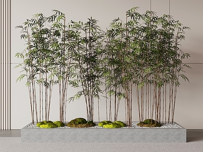 禅意竹子 竹子庭院竹子 景观竹庭院小品