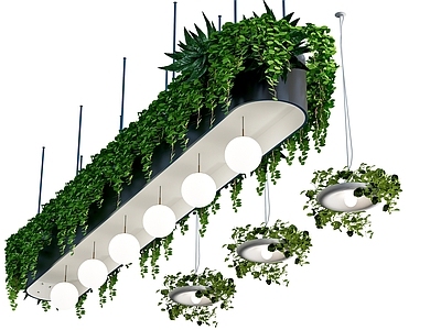 现代简约灯具组合 现代吊篮 吊挂植物 植物吊顶绿植