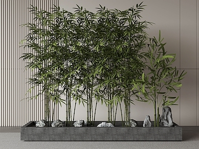 新中式竹子 竹子庭院竹子 景观竹庭院小品