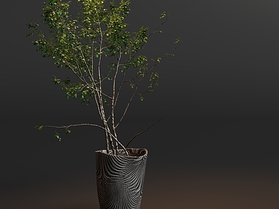 极简绿植摆件 花瓶植物盆栽摆件