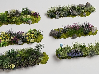 传统园林花境 植物组团