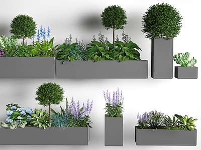 极简花钵花器 现代景观花箱 景观植物 灌木丛外摆花箱