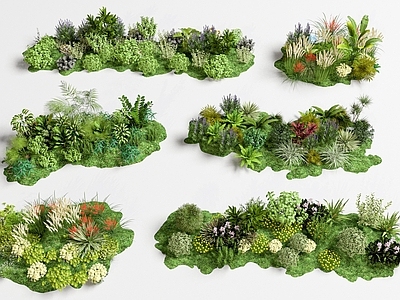 现代主义植物组合 植物组团 绿植组合