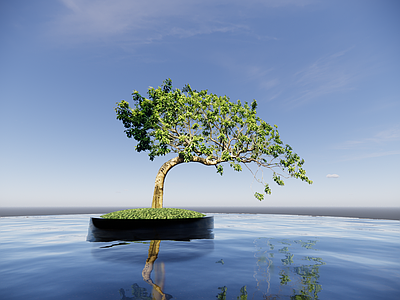 极简其他植物 新中式2d植物 斜飘铁冬青 造型红果冬青 地产造景植物 探水造型铁冬青