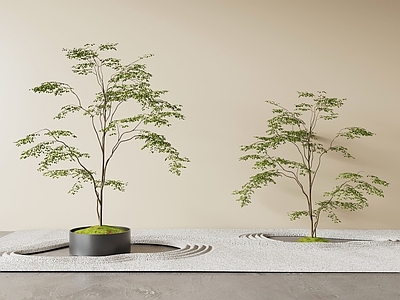 禅意花钵花器 绿植盆栽室內植物
