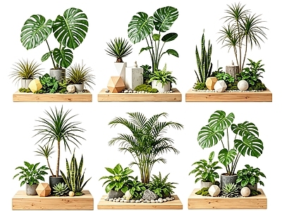 现代简约花境 2D室内植物组团 花境植物组团 花卉花镜 花草镜植物组合 花草花丛
