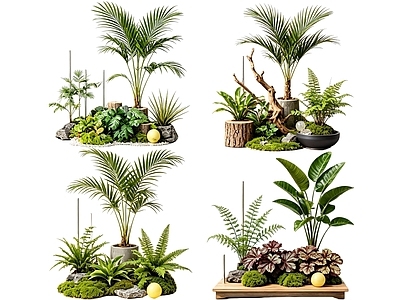 日式花境 2D室内植物组团 花境植物组团 花卉花镜 花草镜植物组合 花草花丛