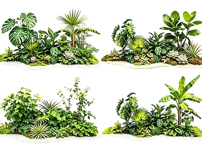 现代主义花境 2D室内植物组团 花境植物组团 花卉花镜 花草镜植物组合 花草花丛