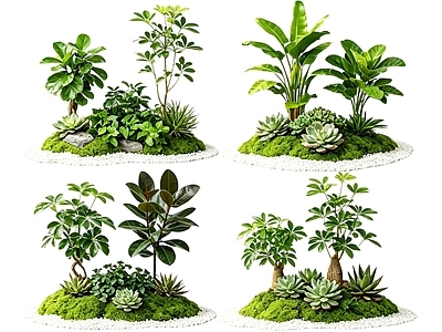 日式花境 2D室内植物组团 花境植物组团 花卉花镜 花草镜植物组合 花草花丛
