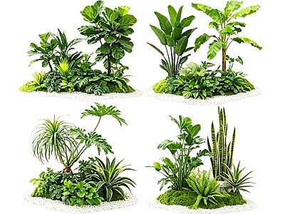 极简花境 2D室内植物组团 花境植物组团 花卉花镜 花草镜植物组合 花草花丛